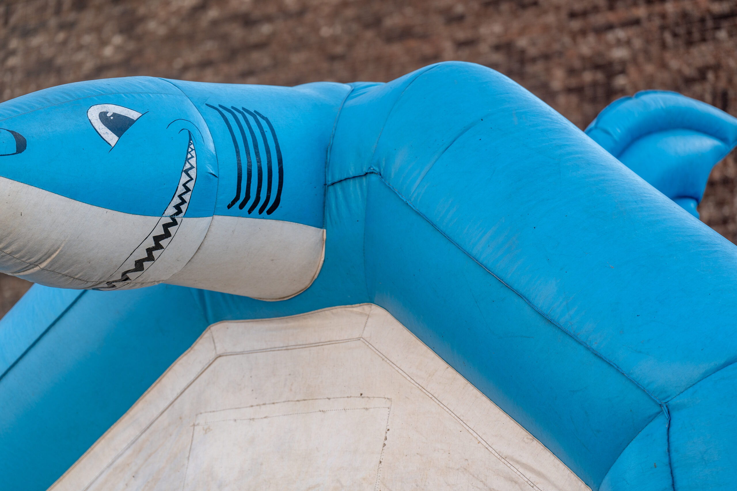 Shark Bait inflatable residential rental